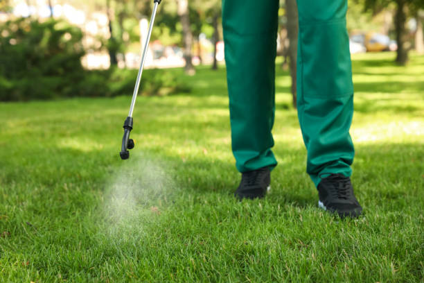 Best Rat Extermination Near Me  in Leakesville, MS